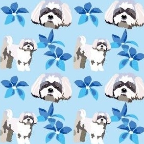 Shih Tzu Dog blue flowers