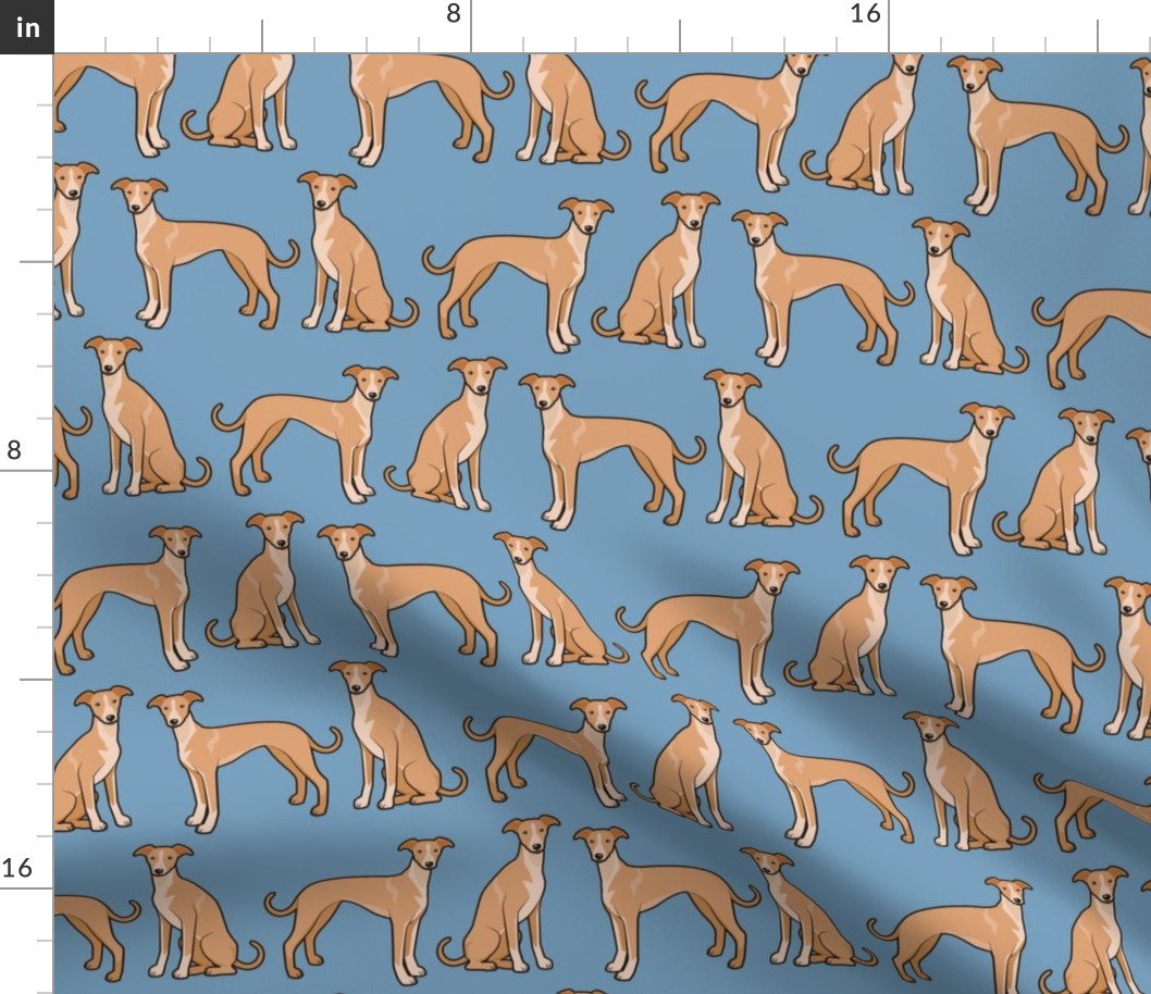 Whippet Dogs on Blue