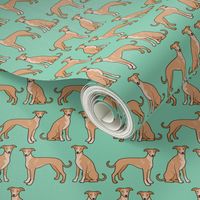 Whippet Dogs on Turquoise Green