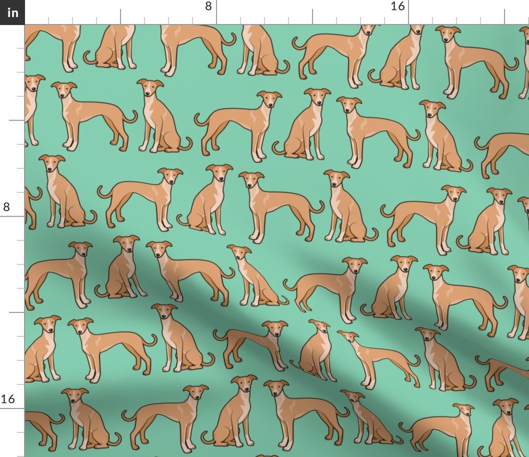 Whippet Dogs on Turquoise Green