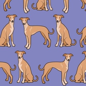 Whippet Dogs on Purple