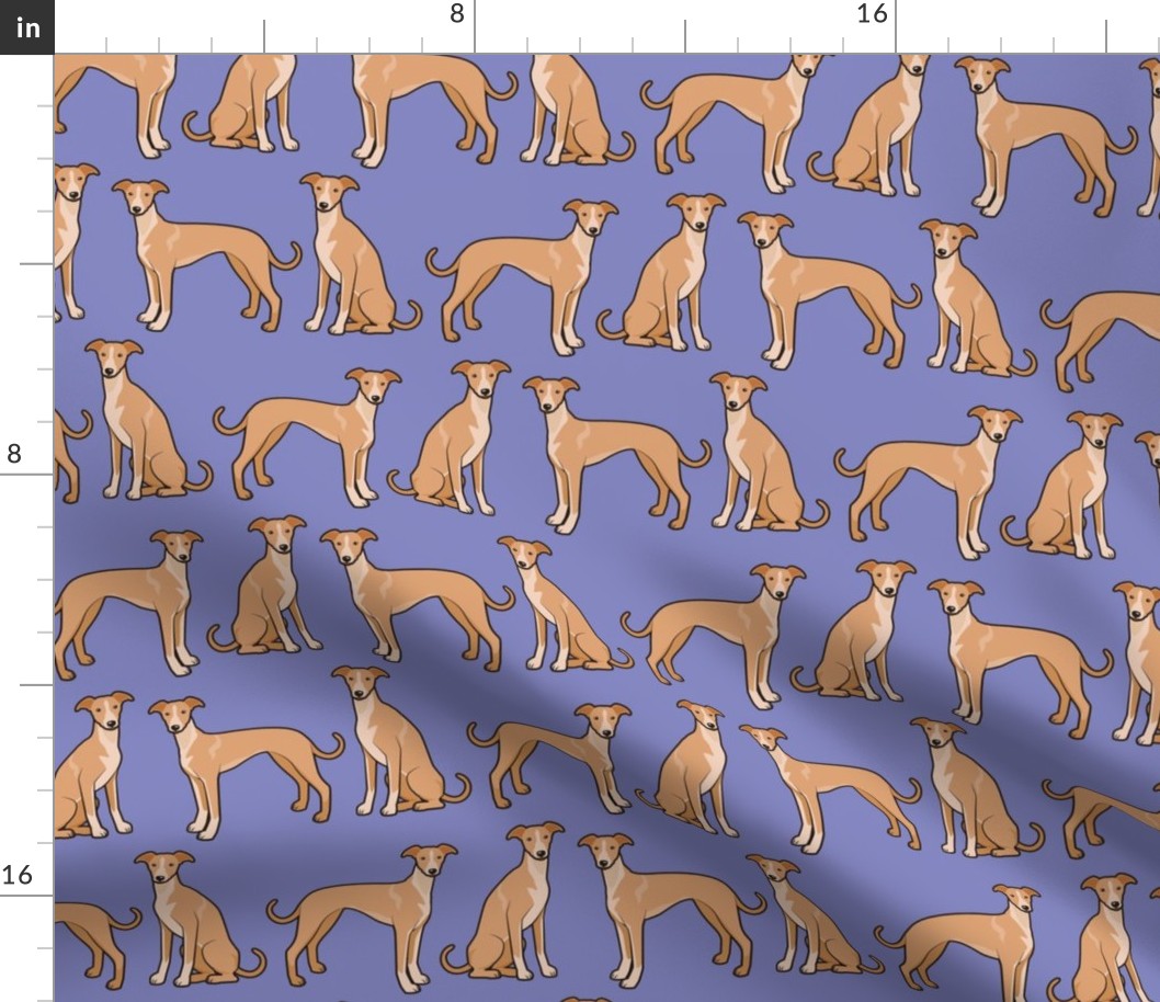 Whippet Dogs on Purple