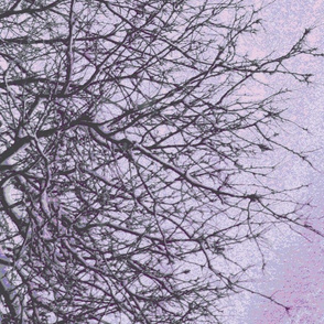 pale purple gray branches vertical