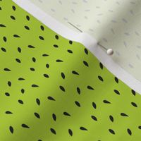 Watermelon Seeds - lime green background