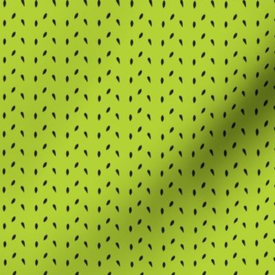 Watermelon Seeds - lime green background