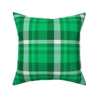 Lettuce tartan plaid, large