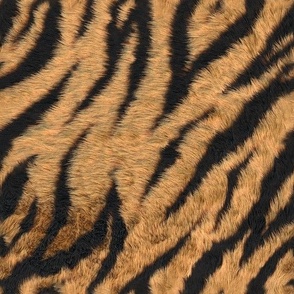 Tiger Stripes, Tiger Pattern, Tiger  Skin, Tiger Print, Costume