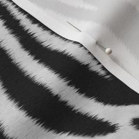 Zebra, Zebra Pattern, Zebra Skin, Safari Print