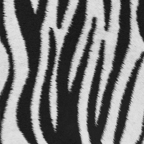 Zebra, Zebra Pattern, Zebra Skin, Safari Print