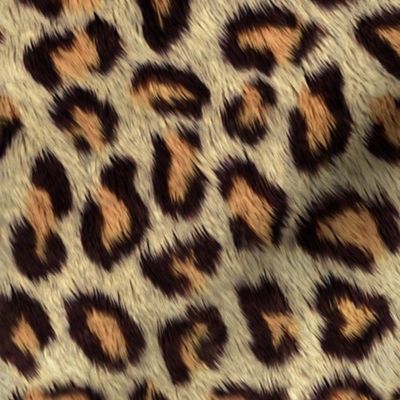 Cheetah Spots, Cheetah Pattern, Cheetah Skin, Cheetah Print, Costume