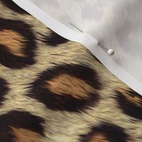 Cheetah Spots, Cheetah Pattern, Cheetah Skin, Cheetah Print, Costume