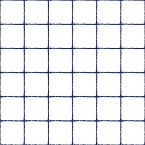Blue Crayon Windowpane Grid