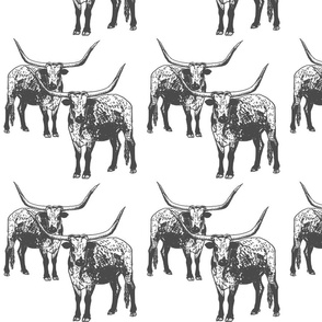 Longhorn black and white 8x8