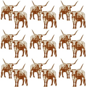 Longhorn brown and white 6x6