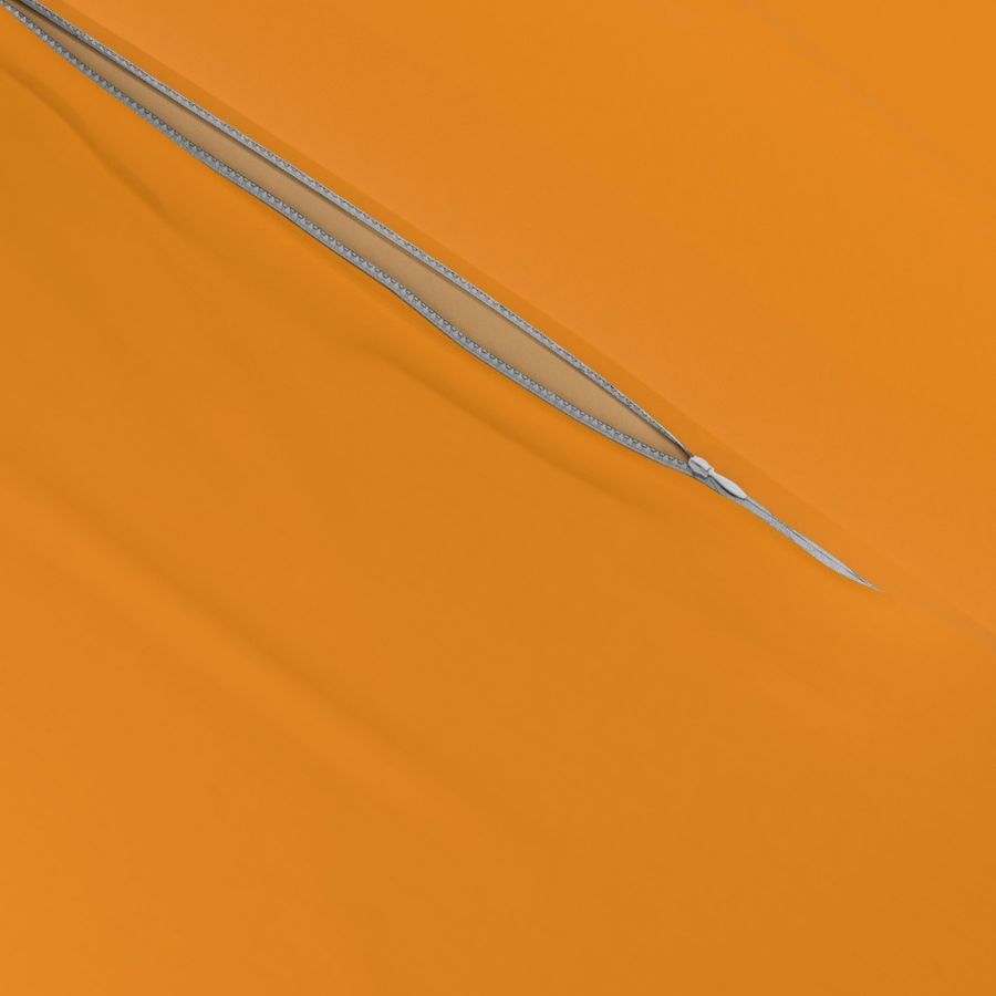 Carrot orange solid_Hex_f8931f