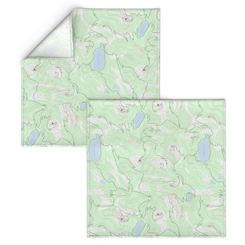 topo map