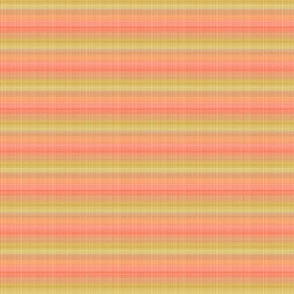 melon-yellow_mod-stripe