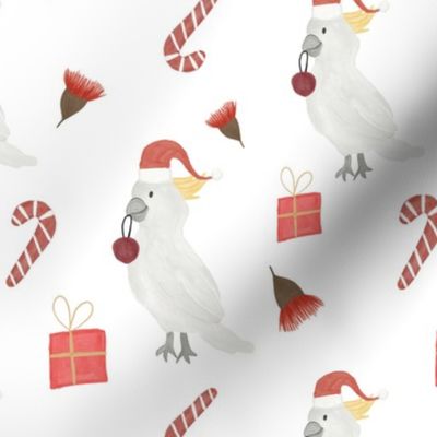 australian christmas cockatoo