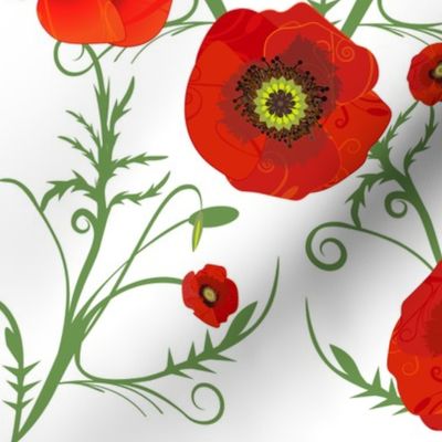 Patterned Poppies