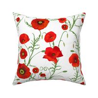 Patterned Poppies