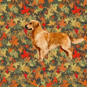 Golden Retriever in Autumn Leaves for Pillow