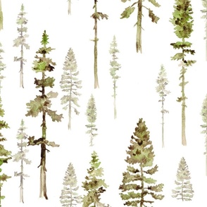 Pine trees white large detailed