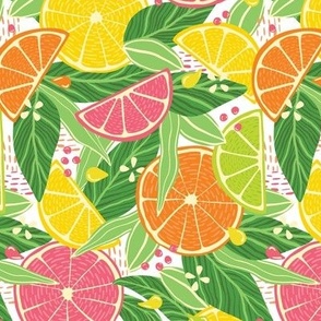 Medium Tropical Summer Citrus Fruit Slices Lemon, Orange, Grapefruit On Light Background