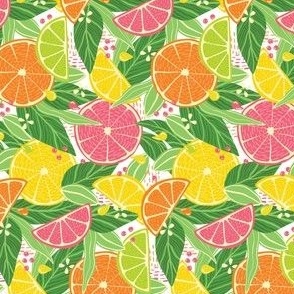 Small Tropical Summer Citrus Fruit Slices Lemon, Orange, Grapefruit On Light