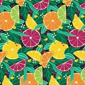 Small Tropical Summer Citrus Fruit Slices Lemon, Orange, Grapefruit On Moody Dark Green