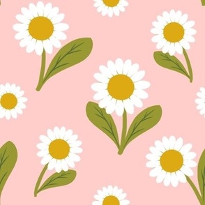 Daisies on Pale Pink