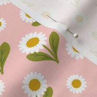Daisies on Pale Pink -small