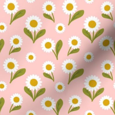 Daisies on Pale Pink -small