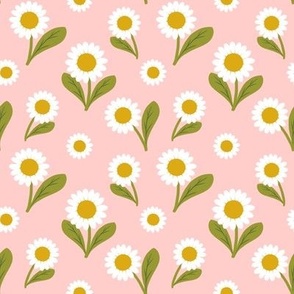 Daisies on Pale Pink -small