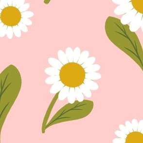 Daisies on Pale Pink -LARGE