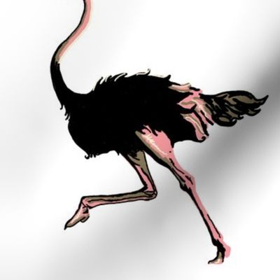 Ostrich Dance White