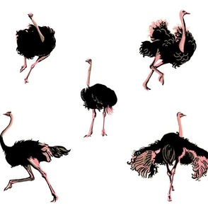 Ostrich Dance White