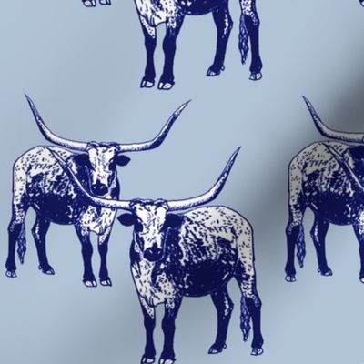 Longhorn blue 6x6