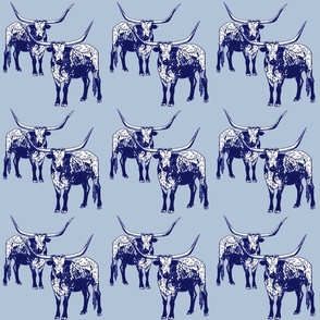 Longhorn blue 6x6