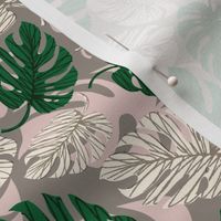 Monstera with Shadow ~ on Grey