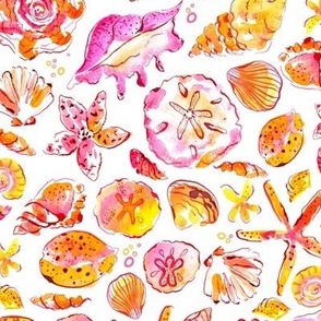 Loose Watercolor Seashells