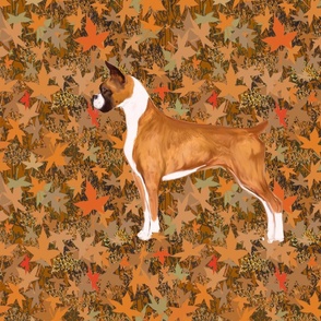 Boxer Dog with Clipped Ears and Docked Tail in Autumn Leaves for pillow