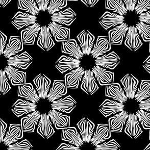 Desert Flower - Black & White