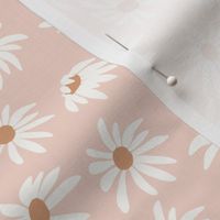 daisy party in blush pink