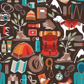 Small scale // Hiking trip // brown oak background orange red greige sage green and teal hike backpack essentials