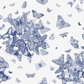 Butterflies. Blue and white