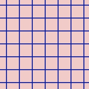 Blue grid on pink, colorful, bold, playful, happy