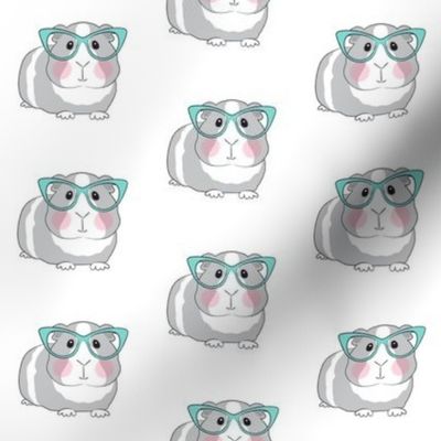 hipster guinea pigs with teal glasses