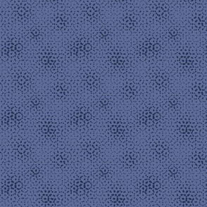 regularity2dots_nucleus_blue_6 small