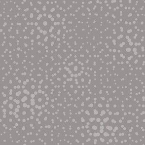 regularity2dots nucleus silver 6 small size