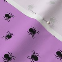 spiders! - lilac